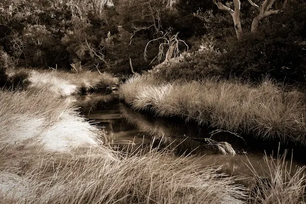 Rangers Creek monochrome